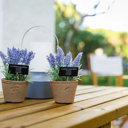 Pura Vida Falesia By The Portuguese Butler 빌라